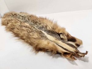 lot 166 image: Genuine Striped Badger Pelt