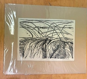 lot 378 image: Signed Numbered 1975 Serigraph by Owatonna Artist Alice Ottinger - Superior Phoenix