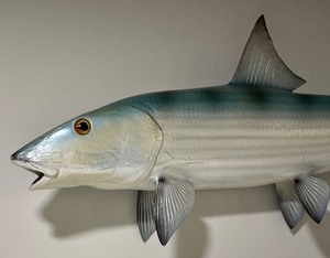 lot 137 image: Taxidermy Fish Figurine