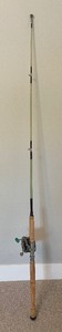 lot 159 image: Vintage Fishing Pole with a Penn Fishing Tackle Reel