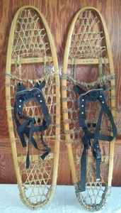 lot 163 image: Gander Mountain Snowshoes (1 pair)