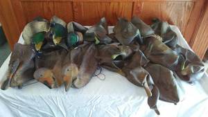 lot 269 image: Vintage Sports Plast Decoys (2 Sets)