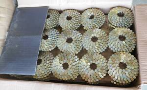 lot 13 image: New Full box of 1-14 inch coil roofing nails