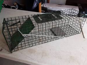 24 Live Animal Trap