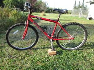 lot 14 image: Red Raleigh m20 bike