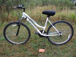 lot 31 image: White Roadmaster Mountain Bike