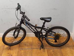 lot 16 image: GIANT REVEL JR 20 BIKE