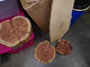 Arkansas Cedar Slabs