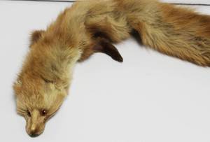 lot 78 image: Nice Brown Fur Mink Belt