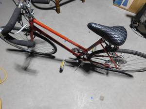 lot 489 image: 10 speed bike