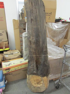 Drift Wood