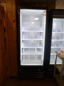 Royal Single Door Freezer