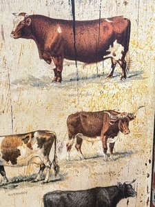 lot 67 image: Framed Cow Breeds Wall Art