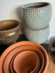 lot 508 image: Variety of Planters and Pots
