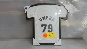 Umbra UBR-609 T-Frame, Unique T-Shirt Display Case to Showcase Youth Sized T-Shirts (Small to Large), 028295394635199