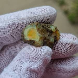 41.50 Carat Raw Welo Opal Specimen in Original Matrix