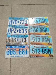 lot 142 image: (8) Assorted License Plates