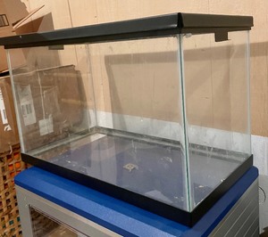 lot 128 image: Fabulous Fish Tank