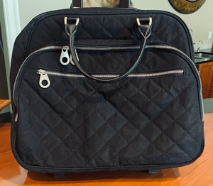 lot 173 image: Baggalini Travel Bag