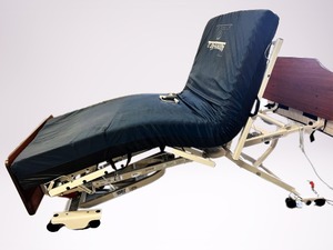 MSRP $3500 Panacea� 2000&nbspElectric&nbspUpDown&nbsp Adjustable (Chair Position) Hospital Bed WHand Remote - Height Adjusts&nbspLow&nbsp8-27 500lb Capacity WOW Extra Room WWidth Extensions 35-42 See Youtube Info Free Used Mattress&nbsp