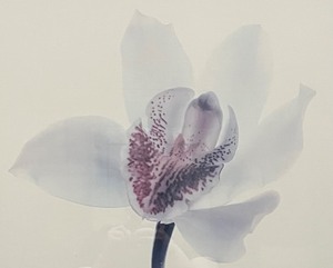 lot 37 image: Floral Print