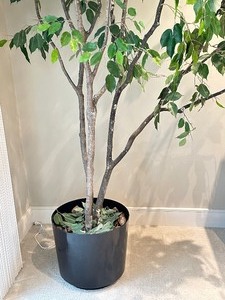 lot 54 image: Large Faux Plant Tree
