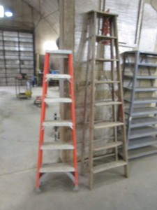 lot 21 image: 6 & 8 Step Ladders