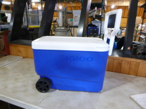 lot 144 image: Igloo Cooler