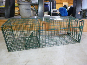 lot 153 image: Live Trap