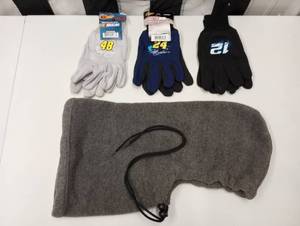 lot 622 image: Assorted Nascar Winners Circle Mens Gloves & Hat