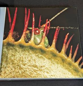 lot 177 image: Heaven and EarthUnseen by the Naked Eye Hardcover Coffee Table Book