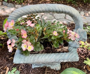 lot 9 image: Darling Cement Basket with Blooming Florals