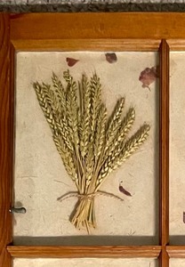 lot 131 image: Vintage Window Shadow Box with Dried Floral Accents