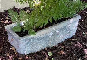 lot 11 image: Fabulous Ferns in Rectangular Cement Planter