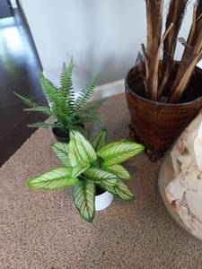 lot 47 image: Faux PlantsDcor