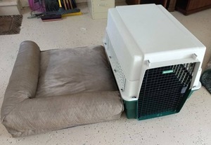 lot 305 image: Dog Bed & Kennel