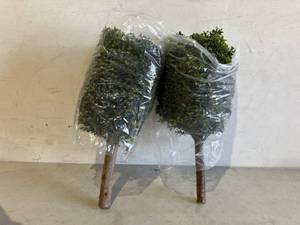 lot 110 image: Set of Two 24 inch Tall Outdoor Artificial Boxwood Ball Topiary Stems