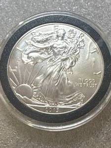 2013 .999 Silver American Eagle