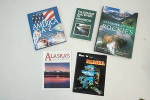 lot 196 image: travel guide books