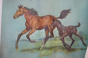 lot 358 image: horse prints