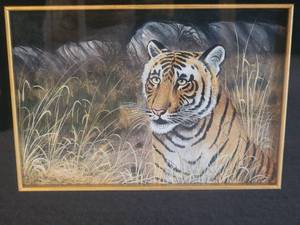 lot 19B image: Exotic Fine Art Print - Bengal