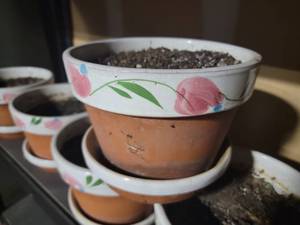 lot 113 image: Charming Painted Clay Pots