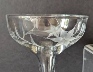 Etched Hollow Stem Champagne Glasses
