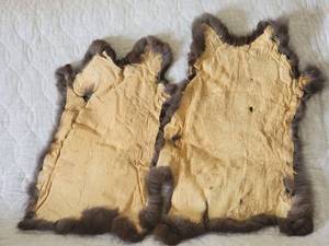 lot 64 image: Matched Mahogany Fur Pelts, pair