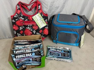lot 177 image: New Soft Coolers with 12 New Ice Packs
