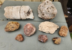 lot 292 image: Estate Lot of Large Unpolished Agates & Large Fossils