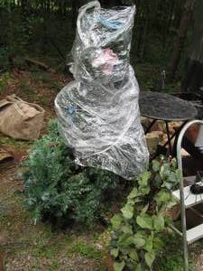lot 46 image: Set of Artificial Christmas trees