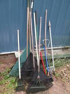 lot 71 image: Assortment of Yard rakes