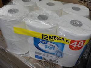 12 Mega Rolls Great Value 2 Ply Toi...