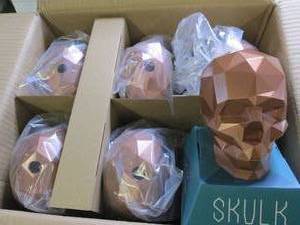 case of 6 new skulk games...
